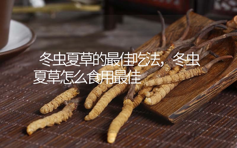 冬蟲夏草的最佳吃法，冬蟲夏草怎么食用最佳