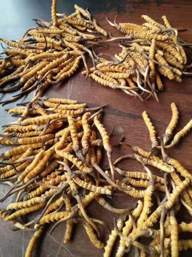 圖片6.png 圖片6.png