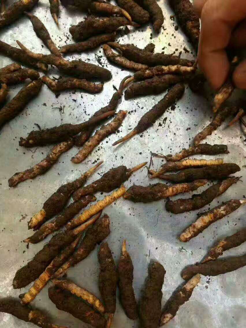 圖片5.png 圖片5.png