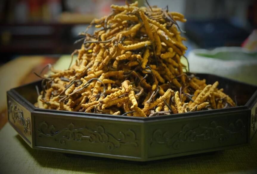 <a href=http://m.dongtai1982.com/ target=_blank class=infotextkey>冬蟲夏草</a>