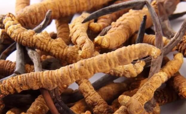 <a href=http://m.dongtai1982.com/chifa/ target=_blank class=infotextkey>冬蟲夏草的吃法</a>