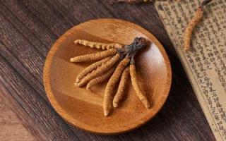 如何正確保存冬蟲夏草，避免變質失效？