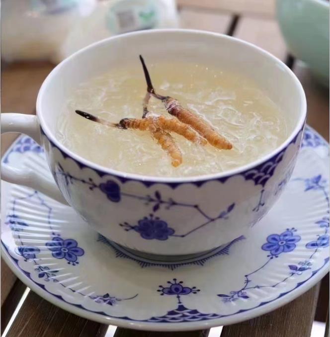 養生小竅門：冬蟲夏草燉什么好喝？