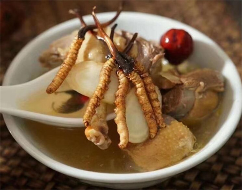 小孩子可以吃冬蟲(chóng)夏草嗎？