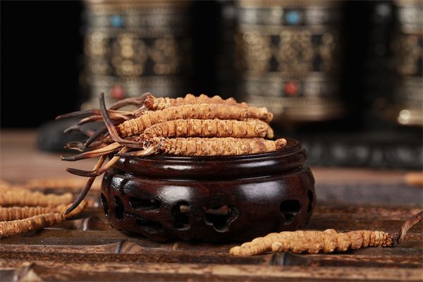 高血壓患者食用冬蟲夏草之前要咨詢醫生的意見