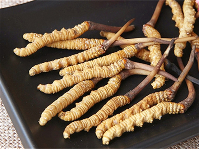 真的冬蟲夏草什么價(jià)格？影響冬蟲夏草價(jià)格波動(dòng)的3個(gè)關(guān)鍵因素