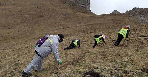 <a href=http://m.dongtai1982.com/sdph/zf/ target=_blank class=infotextkey>珍峰冬蟲夏草</a>:源自世界屋脊的養生瑰寶