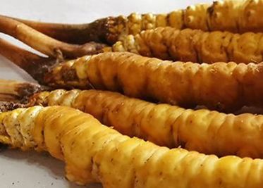 <a href=http://m.dongtai1982.com/sdph/zf/ target=_blank class=infotextkey>珍峰冬蟲夏草</a>主要的銷售模式