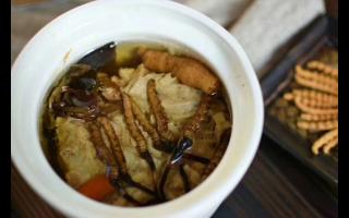 冬蟲夏草怎么食用？解鎖滋補養生的正確打開方式