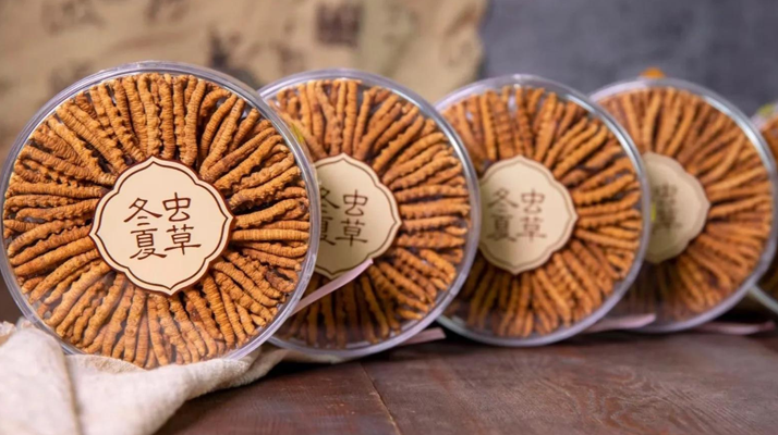 <a href=http://m.dongtai1982.com/chanpin/ target=_blank class=infotextkey>冬蟲夏草一盒多少錢</a>？全方位剖析價格構成