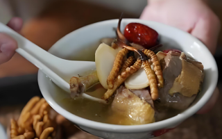 冬蟲夏草搭配有道，滋養肺部效果妙