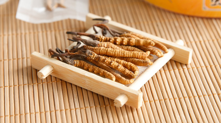 新鮮蟲草價(jià)格多少錢一克