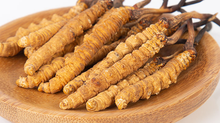 冬蟲夏草王價格探秘