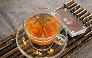 冬蟲夏草泡水時間全解析：泡多久才最有效？