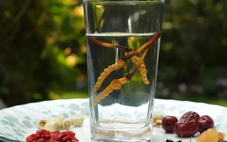 冬蟲夏草鮮品泡酒：養生佳釀還是健康隱患？