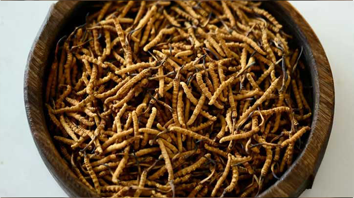 <a href=http://m.dongtai1982.com/jiage/ target=_blank class=infotextkey>冬蟲夏草價格</a>探秘：多因素交織下的市場行情