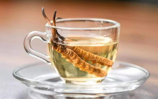 一杯蟲草水，健康新滋味：冬蟲夏草泡水喝的奇妙功效