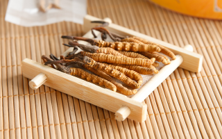 冬蟲(chóng)夏草一般多少錢一斤？?jī)r(jià)格背后的價(jià)值解析
