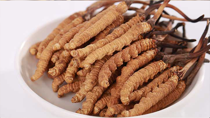 野生鮮<a href=http://m.dongtai1982.com/s/nqcc/ target=_blank class=infotextkey>那曲冬蟲夏草</a>:雪域高原的時令滋補珍品