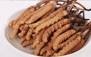 冬蟲(chóng)夏草燉水鴨，搭配這些食材更滋補(bǔ)