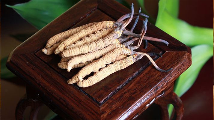 怎樣鑒別<a href=http://m.dongtai1982.com/tag/6.html target=_blank class=infotextkey>冬蟲夏草的產地</a>