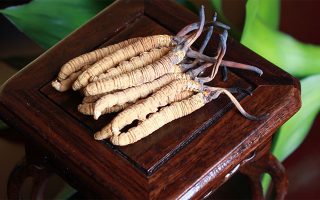 怎樣鑒別冬蟲夏草的產(chǎn)地