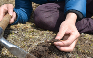 冬蟲夏草怎么區(qū)別真?zhèn)?> </div>
            <div   id=
