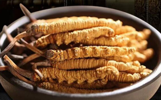 冬蟲夏草可以放多久過期