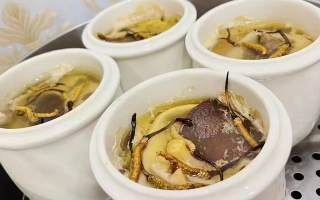 泡冬蟲夏草用什么酒