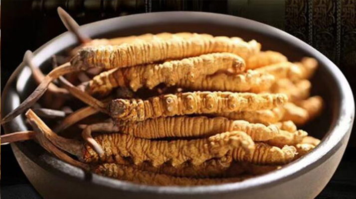 冬蟲夏草食用方法與用量指南:科學滋補的關鍵把控