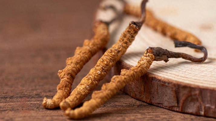 純野生<a href=http://m.dongtai1982.com/jiage/ target=_blank class=infotextkey>冬蟲夏草價格</a>剖析:多因素交織下的價值體現(xiàn)