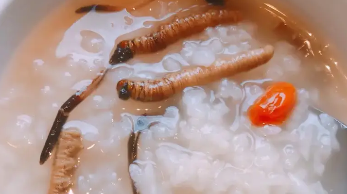 冬蟲夏草適合哪些人群?精準匹配與禁忌提醒