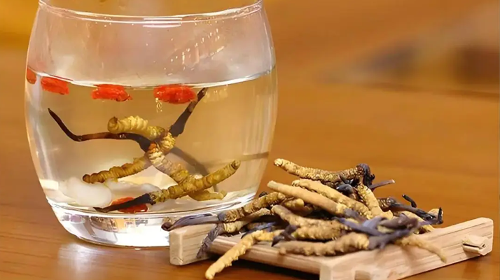 長期喝冬蟲夏草泡水好嗎?科學分析與飲用指南