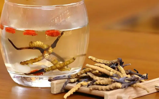 長期喝冬蟲夏草泡水好嗎？科學分析與飲用指南