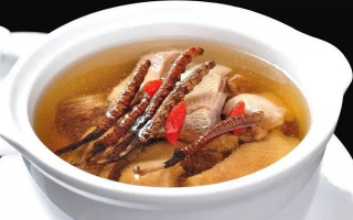 冬蟲夏草怎樣燉是最好的？掌握這幾步，營養(yǎng)不流失還美味