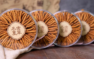 把握黃金時(shí)段！冬蟲夏草在這些時(shí)候吃效果更佳