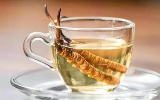十根冬蟲夏草泡多少酒？科學配比與實操指南
