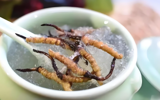 十根冬蟲夏草能泡幾斤酒？泡酒比例與細節指南