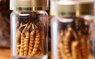 送冬蟲夏草給男孩子好嗎？分場景分析 + 送禮建議