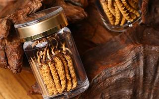 鮮冬蟲夏草泡水后怎么保存？3 種場景保存方法 + 避坑指南