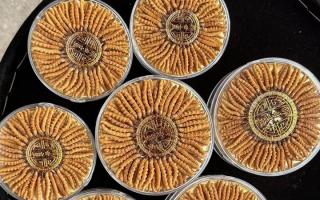 什么白酒適合泡冬蟲夏草？4 大標準 + 泡制指南