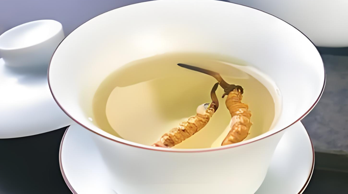 鮮冬蟲夏草可以煮水喝嗎？有什么功效和作用？