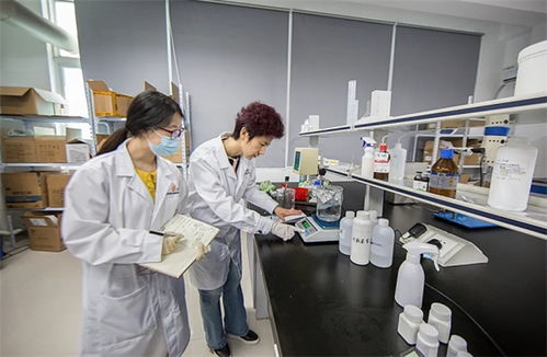 抓品質(zhì)重服務(wù)，海智生物專注品質(zhì)，倚夢(mèng)前行